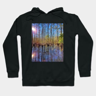 Fantastic Earth Hoodie